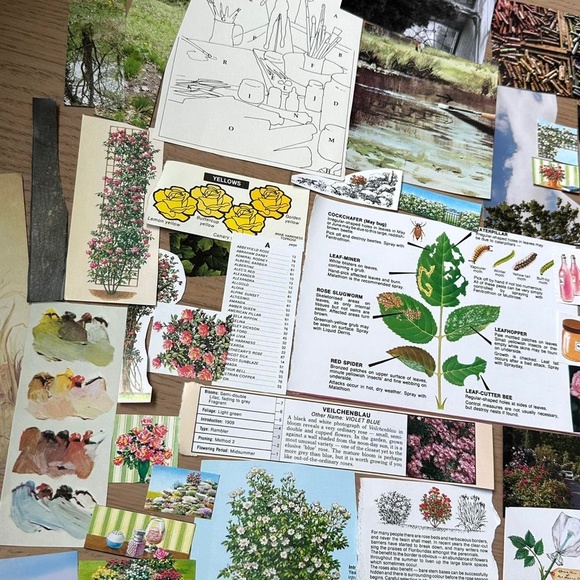 Vintage 50+ pcs Garden Art Themed Ephemera Collage Journal Kit - Picture 2 of 3